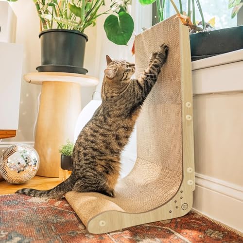 Necoichi Cardboard Cat Scratcher Wall by NECOICHI