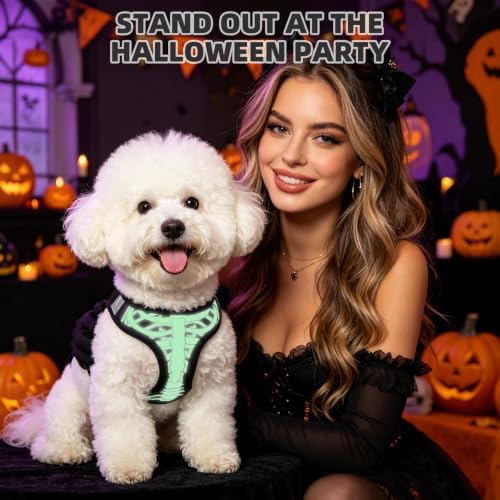 KOOLTAIL Halloween Dog Harness and Leash Set - Image 4