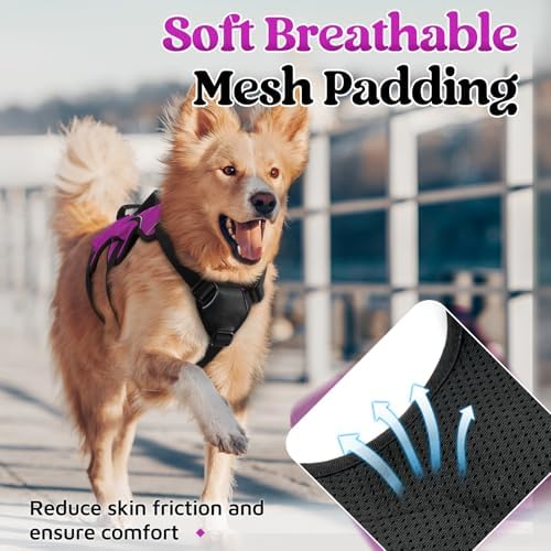 rabbitgoo Escape Proof Dog Harness - Image 6