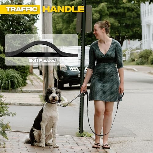 Fida 10 FT Heavy Duty Dog Leash, Dual Padded Handles - Image 4