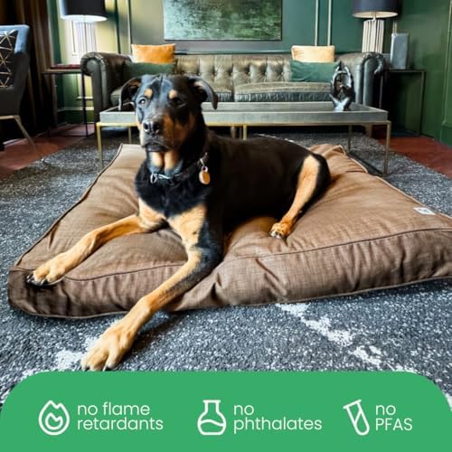 Molly Mutt Woodstock Dog Bed Duvet Cover, GOTS-Certified 100% Organic Cotton - Image 6