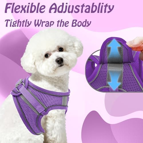 AIITLE Dog Harness and Leash Set, Step-in Puppy Pet Vest, Pure Purple XXXS - Image 3