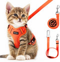 Cat Harness and Leash for Walking Escape Proof Soft Adjustable Cat Leash by Unknown