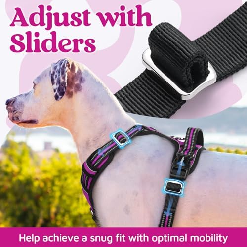 rabbitgoo Dog Harness Small Sized, No Pull 3 Buckles Easy On & Off - Image 5