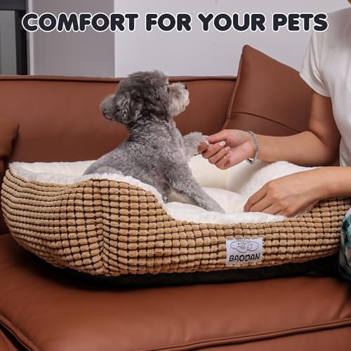 Small Dog Bed for Small Dogs, Cat Beds for Indoor Cats Washable, Rectangle Dog - Image 6