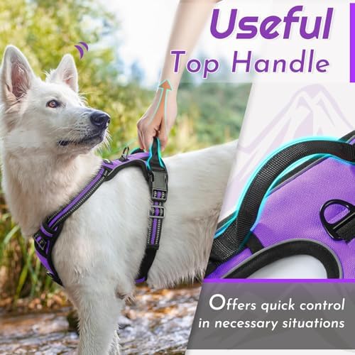 Eagloo Dog Harness for Small Dogs, No Pull Pet Vest - Image 5