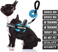 Service Dog Harness with Reflective Strips, and 10 Patches, by Animire