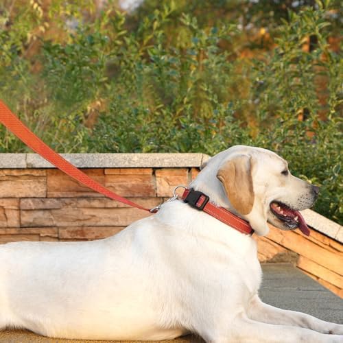 6 FT Basic Dog Leash for Small Dogs - Image 2