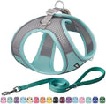 AIITLE Dog Harness and Leash Set, Step-in Puppy Pet Vest, Turquoise XXS by AIITLE-FORPETSBETTERLIFE