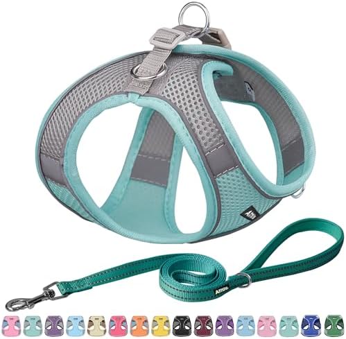 AIITLE Dog Harness and Leash Set, Step-in Puppy Pet Vest, Turquoise M by AIITLE-FORPETSBETTERLIFE