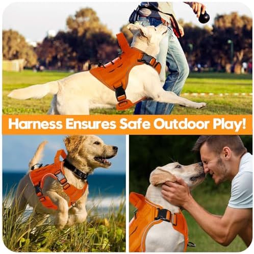 Heavy-Duty Tactical Dog Harness - Image 6