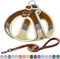 AIITLE Small Dog Harness and Leash Set, Step-in Puppy Pet Vest by AIITLE-FORPETSBETTERLIFE