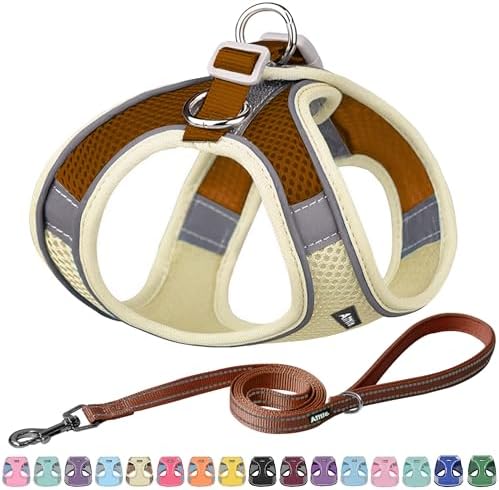 AIITLE Small Dog Harness and Leash Set, Step-in Puppy Pet Vest by AIITLE-FORPETSBETTERLIFE
