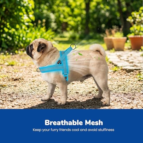 Didog No Pull Dog Harness for Medium Dogs, Breathable Mesh Padded - Image 2
