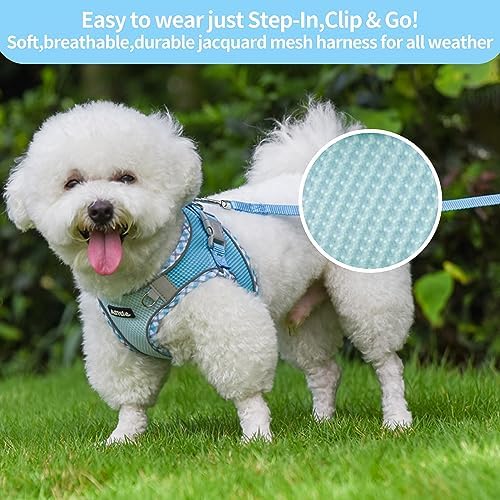 AIITLE Tiny Dog Harness and Leash Set, Step-in Vest - Image 3
