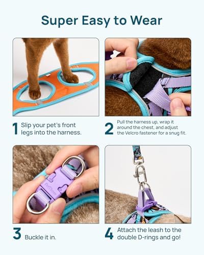 PetThem Upgraded Cat Harness and Leash Set - Image 2