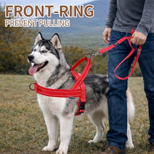 No Pull Dog Harness and 5FT Leash Set - Image 5