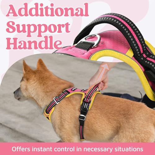 rabbitgoo Dog Harness for Large, No Pull 3 Buckles Easy On & Off - Image 4