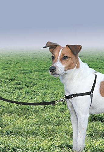 PetSafe Easy Walk Harness, No Pull Dog Harness - Image 2