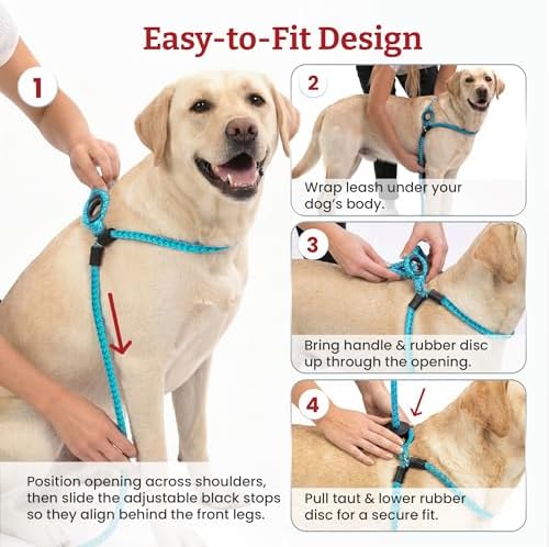 Harness Lead No Pull Dog Harness and Leash Set, Anti Pull Dog Harness, - Image 3