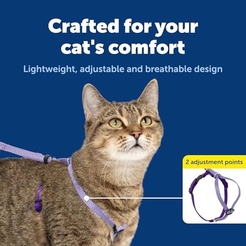 PetSafe Come with Me Kitty Harness and Bungee Cat Leash - Image 4