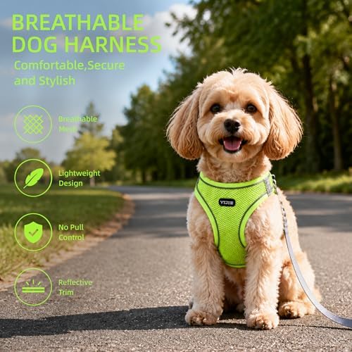 ROYPET Step-in Air Dog Harness, All Weather Mesh Step in Vest Harness - Image 3