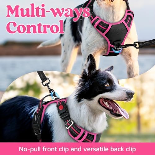 rabbitgoo Dog Harness Medium Sized, No Pull 3 Buckles Easy On & Off - Image 4