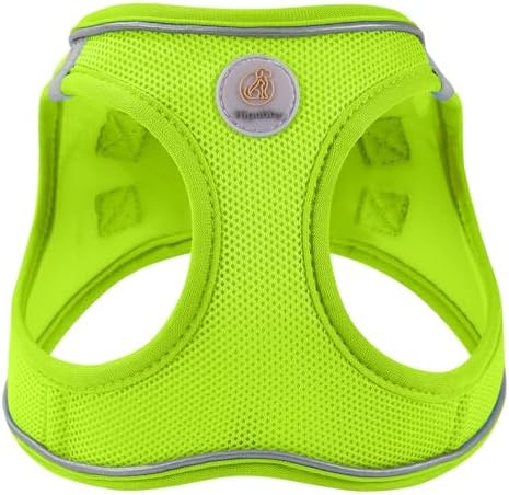 Hipubby Dog Harness and Leash Set, No Pull Soft Mesh Puppy Harness - Image 2