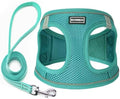 Dog Harness with Leash Set, Step-in Adjustable Puppy Vest, Forest Green XS by BOOMIBOO