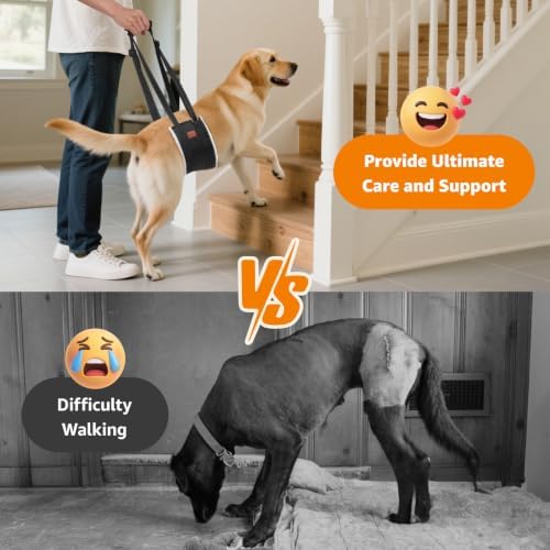 LOOBANI Adjustable Dog Sling for Large Dogs Hind Leg Support ACL Recovery - Image 2