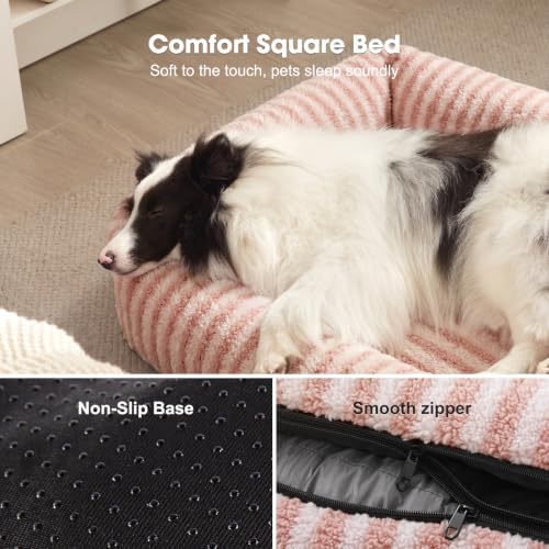 MIXJOY Dog Beds for Small Dogs Cats，Small Dog Bed Washable - Image 3