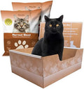 Kitty Poo Club Disposable Cat Litter Box 2-Pack by KittyPooClub