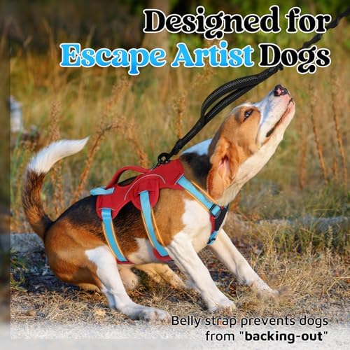rabbitgoo Escape Proof Dog Harness - Image 2