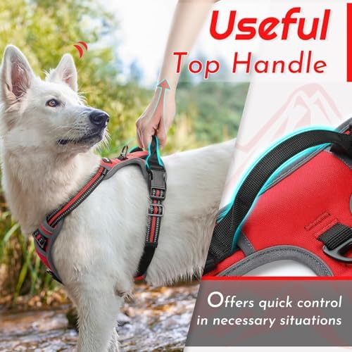 Eagloo Dog Harness for Small Dogs, No Pull Pet Vest - Image 5