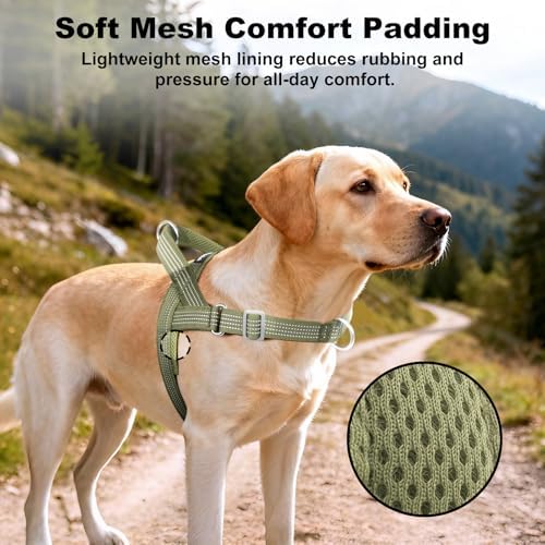 No Pull Dog Harness with Handle, Adjustable Soft Mesh Padded Vest - Image 4
