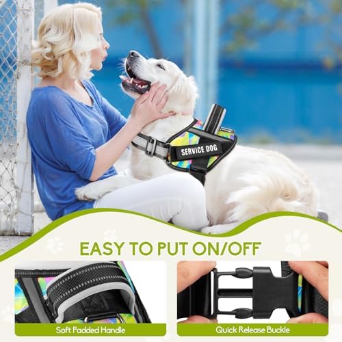 Service Dog Harness and Leash Set, - Image 3