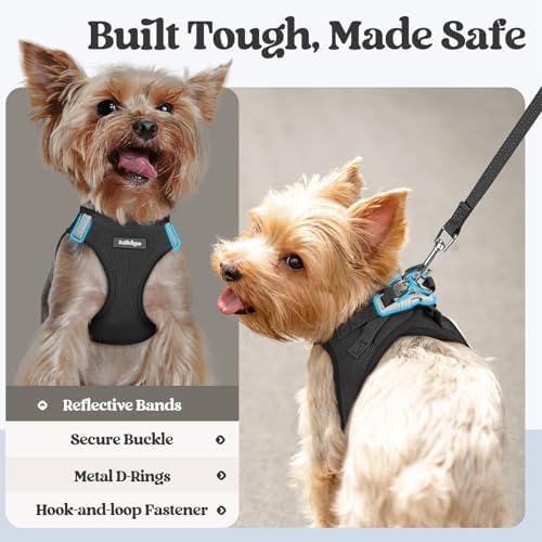 rabbitgoo Dog Harness Small Sized and Leash Set, Step-in Puppy Pet Vest - Image 5