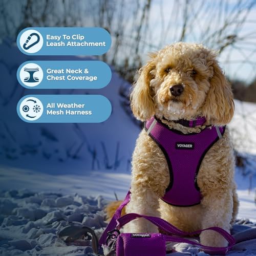 Best Pet Supplies Voyager Step-in Air All Weather Mesh Harness and Reflective - Image 4