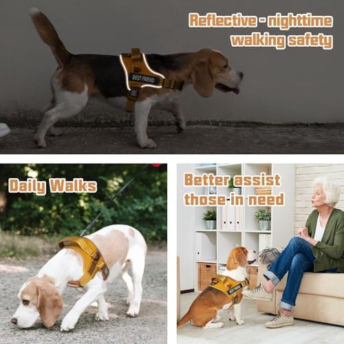 AUROTH Dog Harness and Leash Set - Image 5