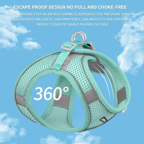 AIITLE Dog Harness and Leash Set, Step-in Puppy Vest, Pure Turquoise XXXS - Image 4