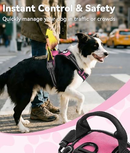 Joytale No Pull Dog Harness for Small Dogs, Front Clip, Hot Pink - Image 3