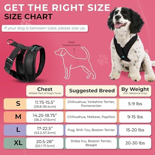Gooby Comfort X Head-in Dog Harness, Choke-Free - Image 5