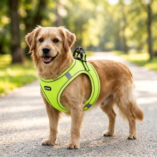 ROYPET Step-in Air Dog Harness, All Weather Mesh Step in Vest Harness - Image 7