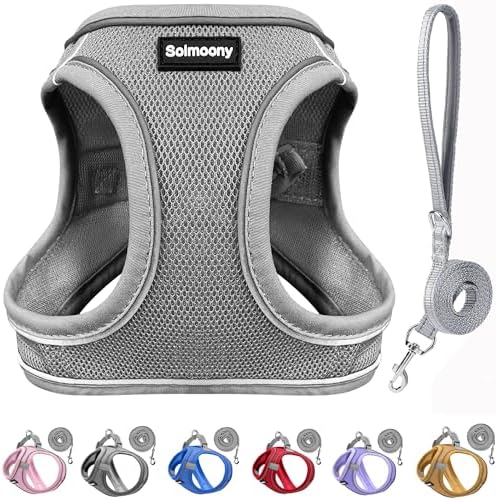Solmoony Sparkly Small Dog Harness and Leash Set, Step in Soft Light Puppy Vest by SOLMOONY