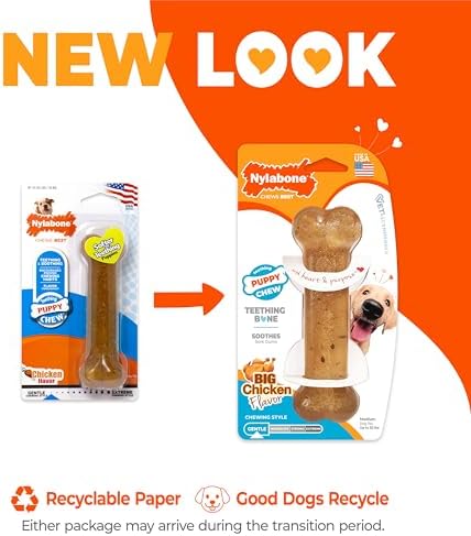 Nylabone Puppy Chew Teething Bone Dog Chew Toy, Chicken Flavor - Image 3