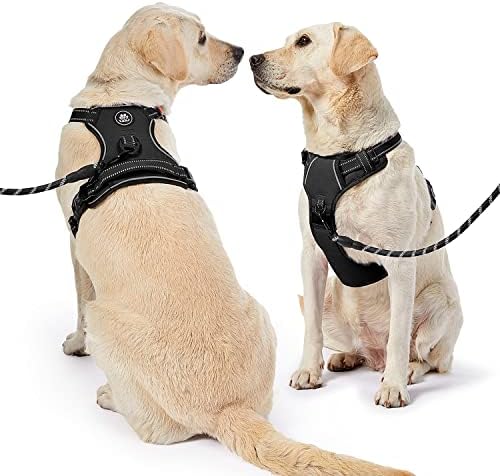 NESTROAD Dog Harness for Small Sized Dog, No Pull Dog Vest Harness Set - Image 2