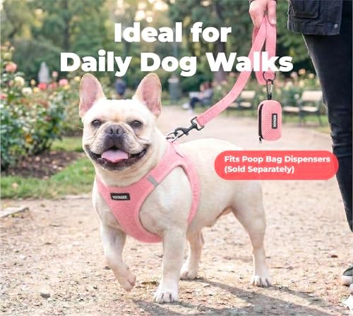 Best Pet Supplies Voyager Nylon Dog Leash - 6ft Pink - Image 3