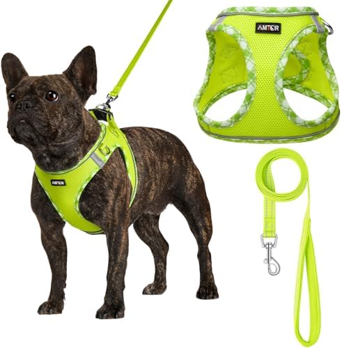 AMTOR Small Dog Harness with Leash Set, No Escape Easy Walk Puppy Harnesses by AMTOR