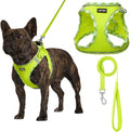 AMTOR Small Dog Harness with Leash Set, No Escape Easy Walk Puppy Harnesses by AMTOR