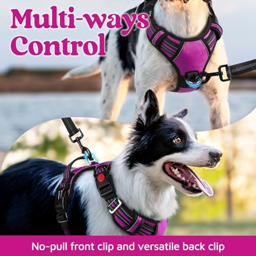 rabbitgoo Dog Harness Small Sized, No Pull 3 Buckles Easy On & Off - Image 3